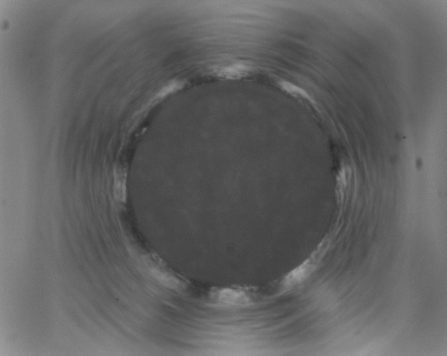 X0000066120180200604071921