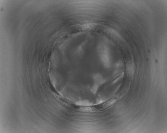 X0000066120181200604071921