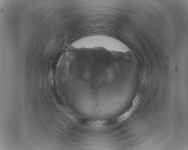 X0000066120182200604071921