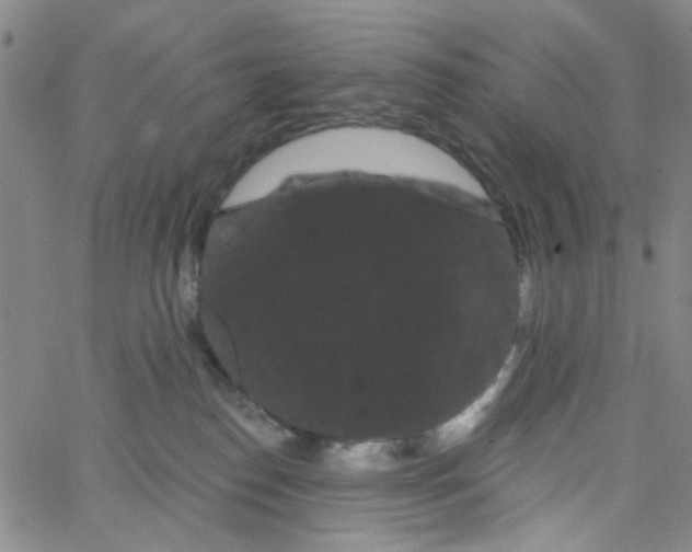 X0000066120186200604071921