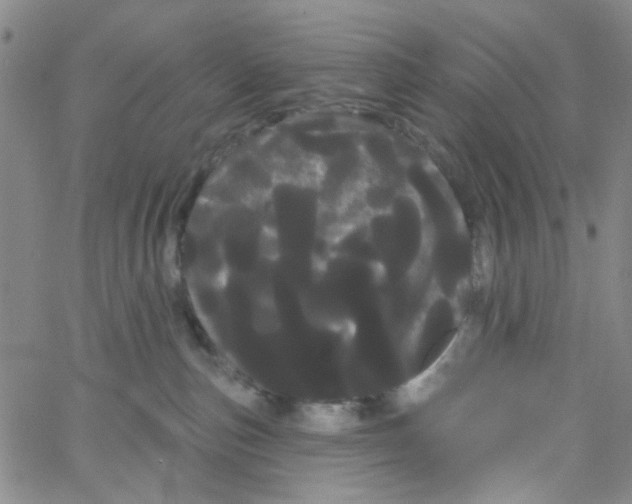 X0000066120187200604071921