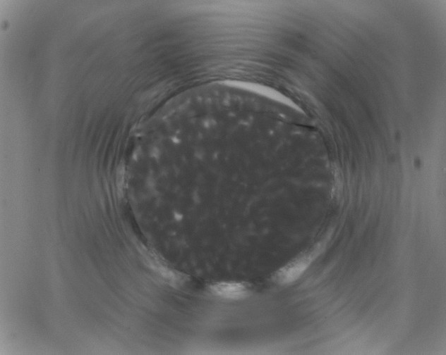 X0000066120189200604071921