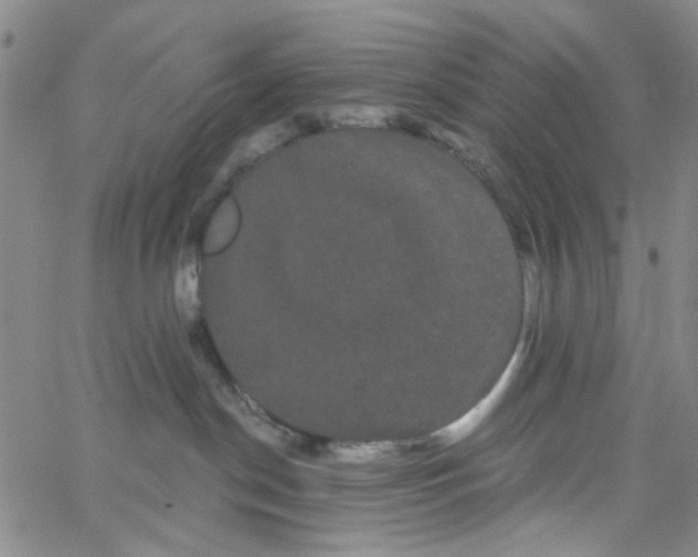 X0000066120190200604071921