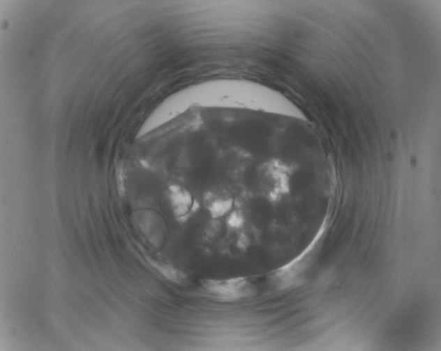 X0000066120191200604071921