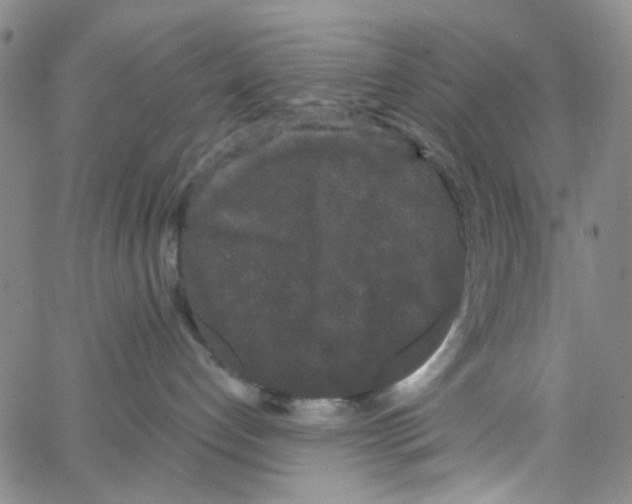 X0000066120192200604071921