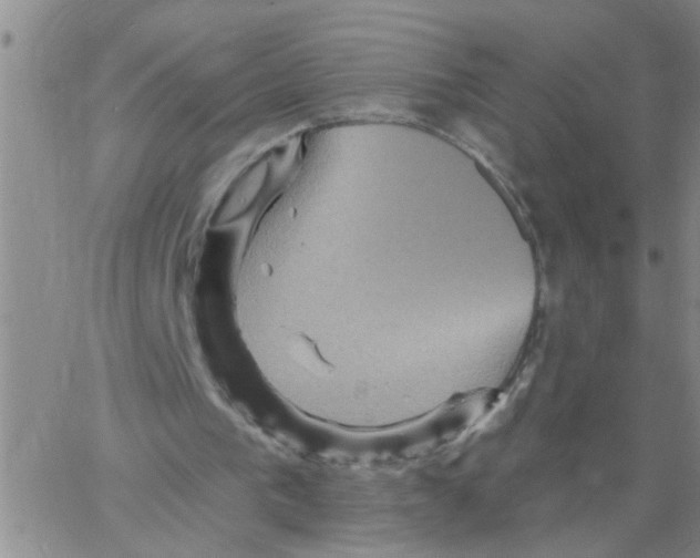 X0000066120193200604071920