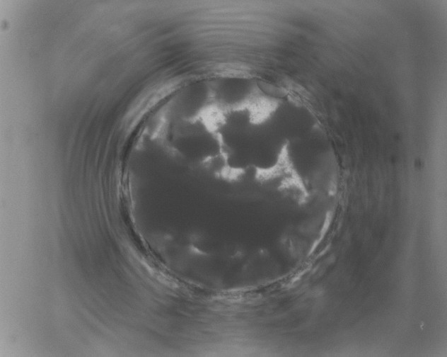 X0000066120194200604071920