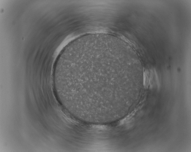 X0000066120195200604071920