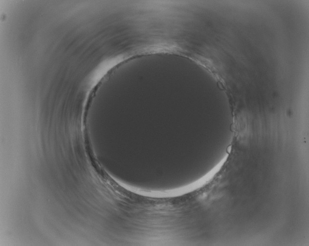 X0000066120196200604071920