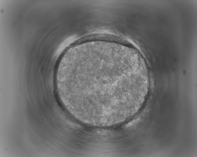 X0000066120199200604071920