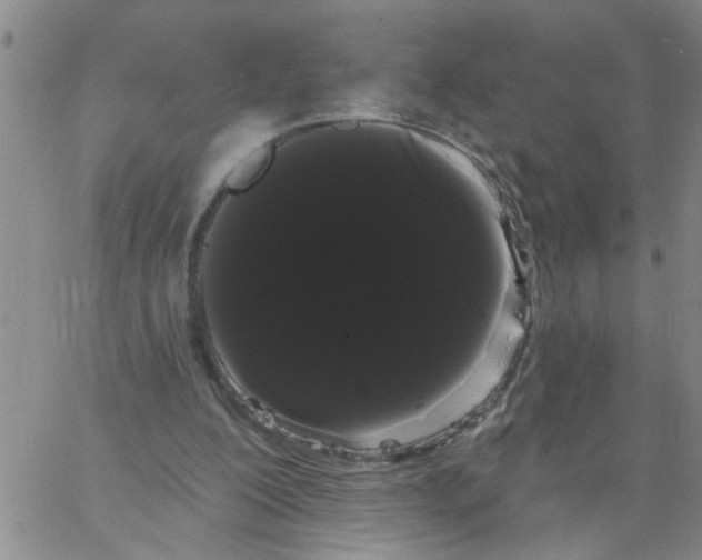 X0000066120200200604071920