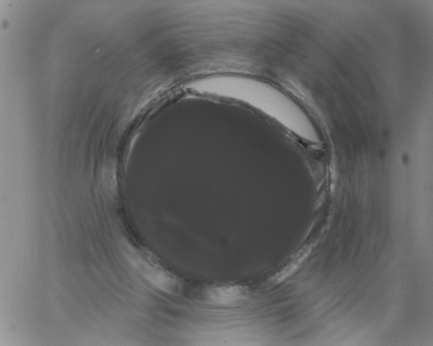 X0000066120202200604071920