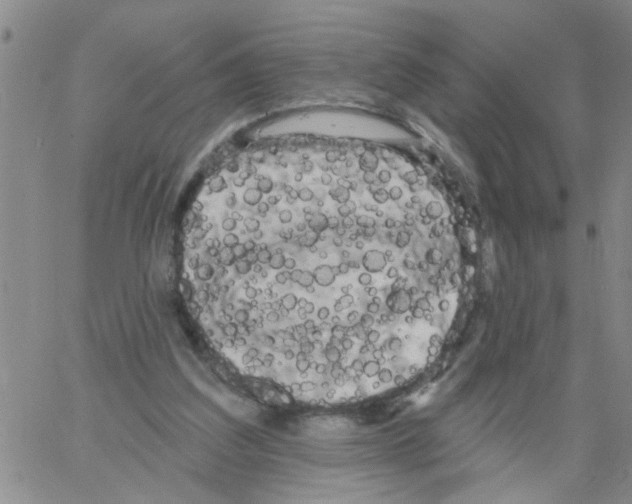 X0000066120203200604071920