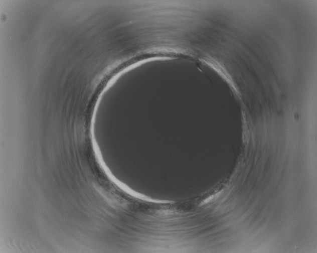 X0000066120204200604071920