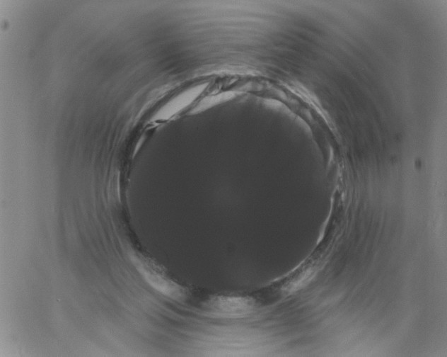 X0000066120205200604071920