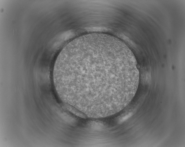 X0000066120207200604071920