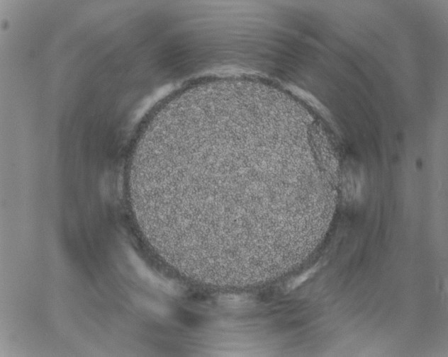 X0000066120208200604071920