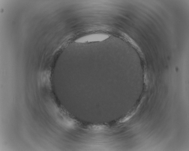 X0000066120209200604071920