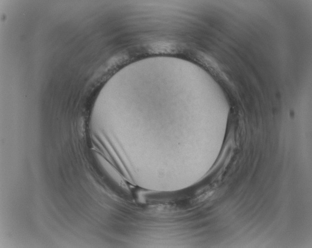 X0000066120211200604071920