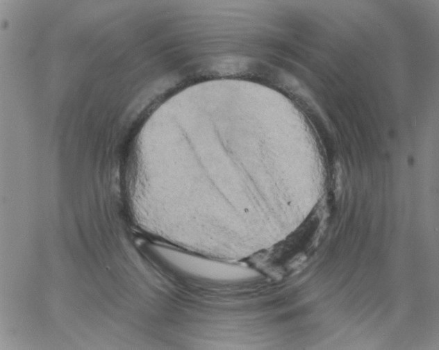 X0000066120212200604071920