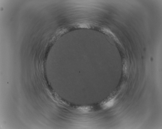 X0000066120213200604071920