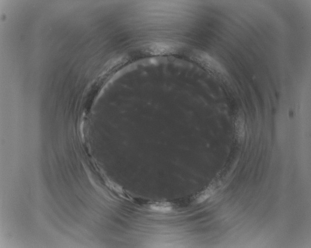 X0000066120214200604071920