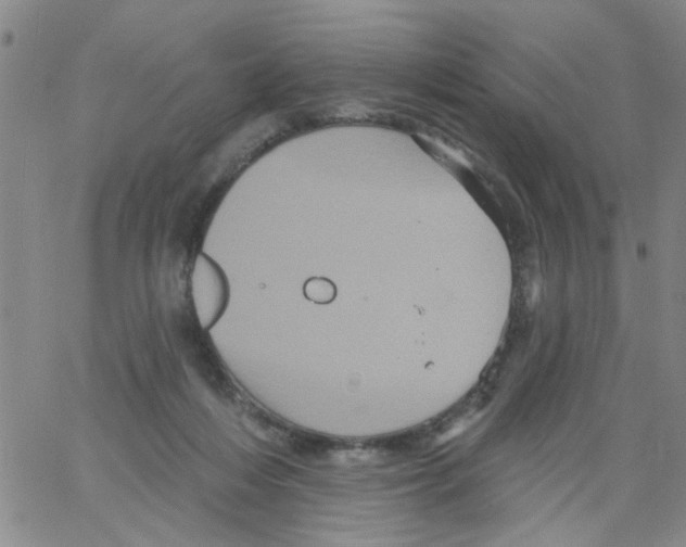 X0000066120216200604071920