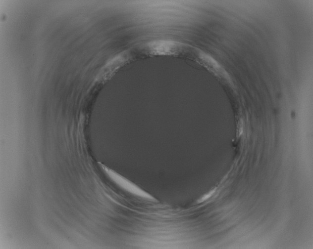 X0000066120217200604071920