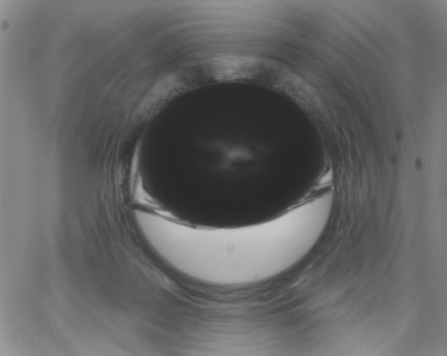 X0000066120219200604071920