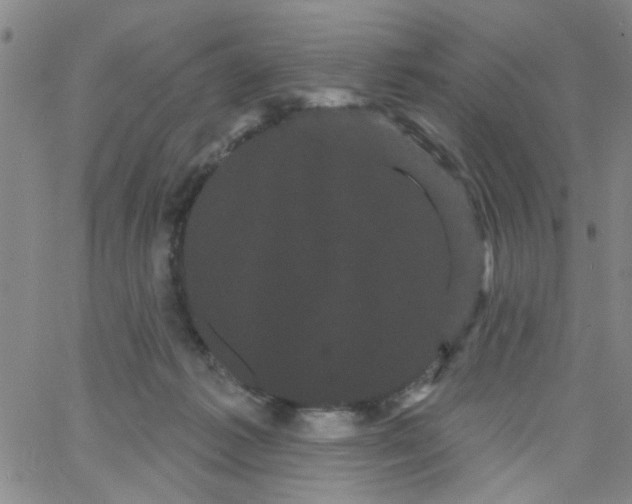 X0000066120221200604071920