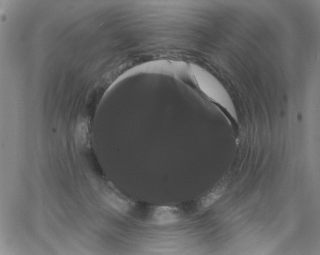 X0000066120222200604071920