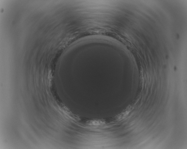 X0000066120223200604071920