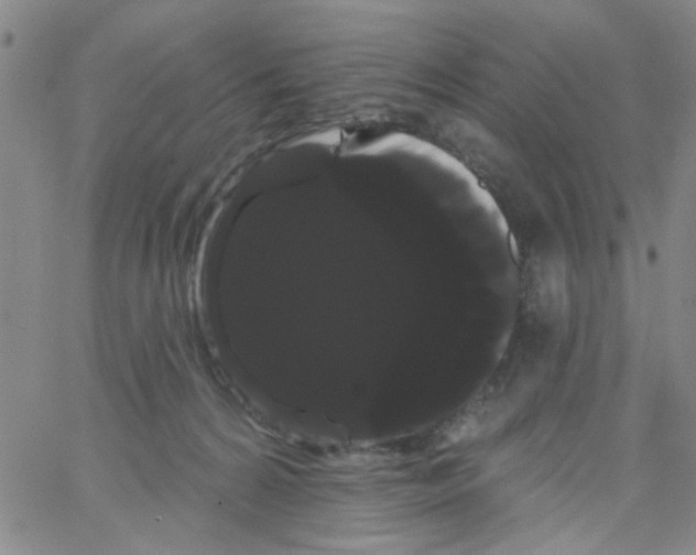 X0000066120224200604071920