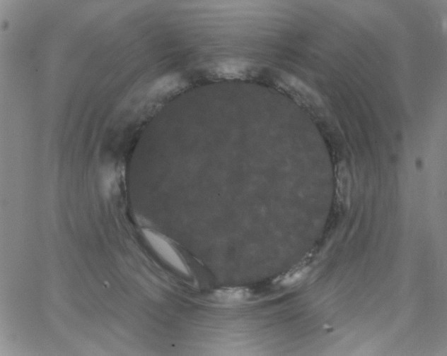 X0000066120225200604071920