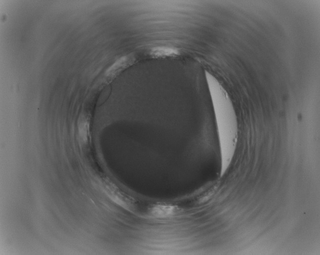 X0000066120227200604071920