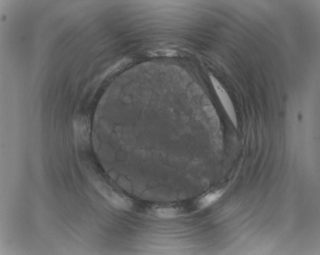 X0000066120228200604071920