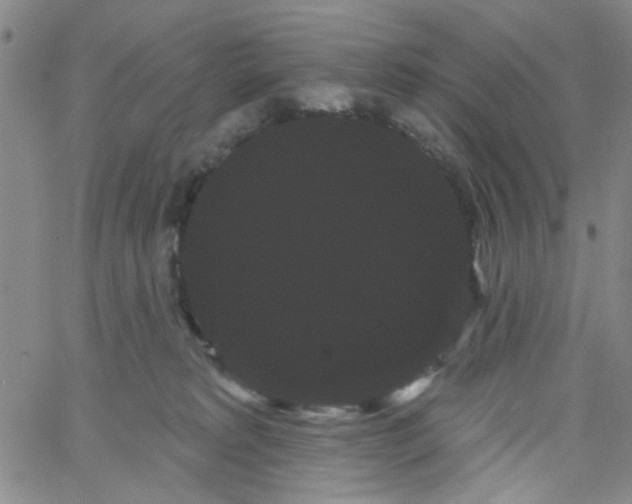 X0000066120229200604071920