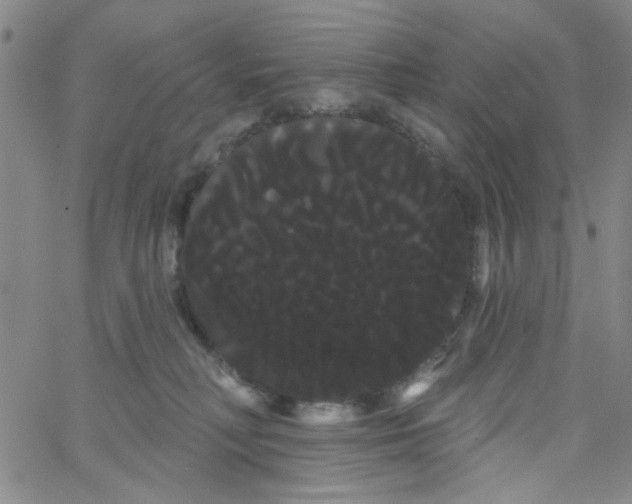 X0000066120230200604071920