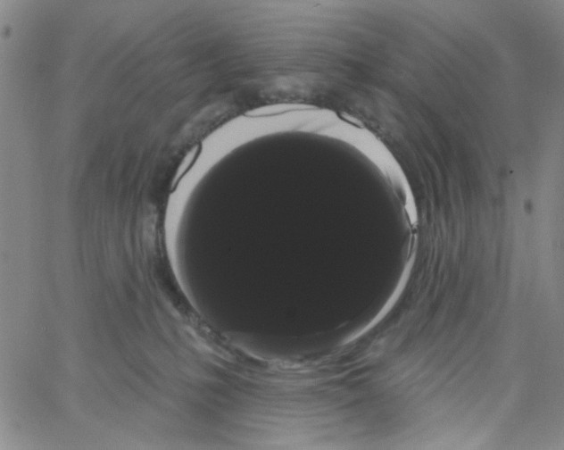 X0000066120231200604071920