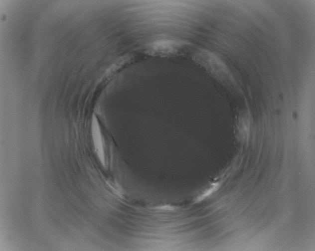 X0000066120232200604071920