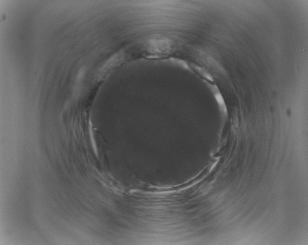 X0000066120233200604071920