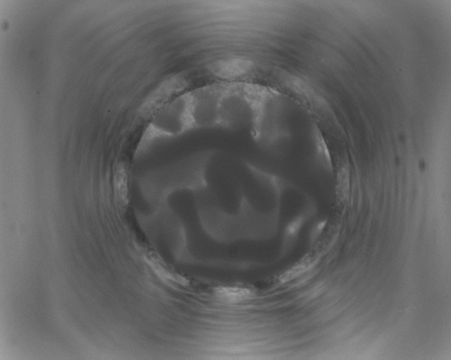 X0000066120234200604071920