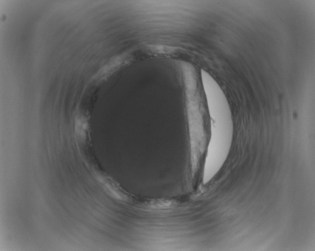 X0000066120235200604071920