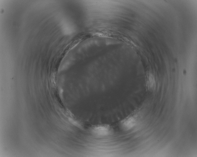 X0000066120236200604071920