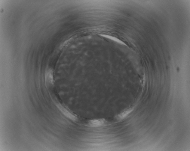 X0000066120238200604071920