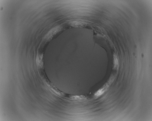 X0000066120239200604071920