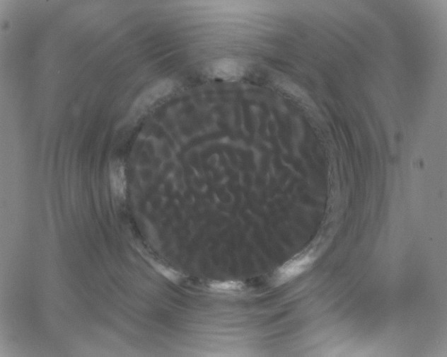 X0000066120240200604071920