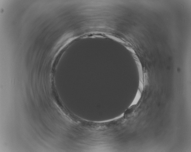 X0000066120243200604071919