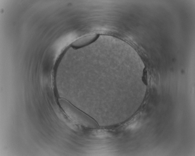 X0000066120244200604071919