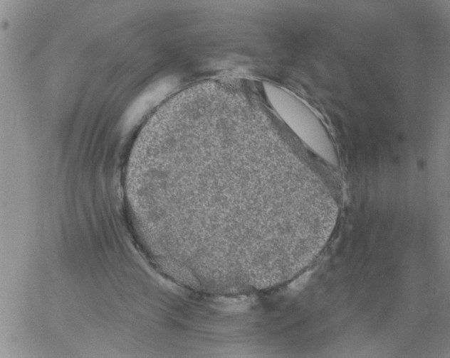 X0000066120245200604071919